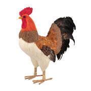 Hahn aus Naturmaterialien Ostern Osterdeko 54 cm