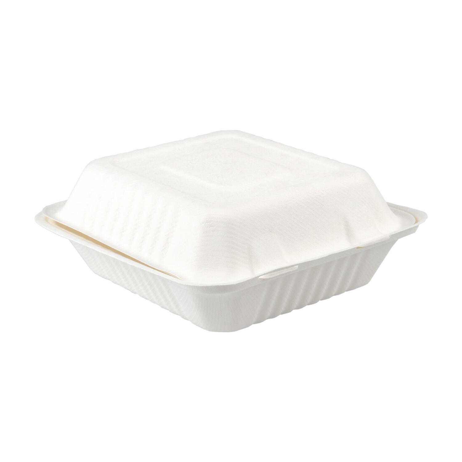 MenboxenausBagasse,naturwei,22x20cm,25Stk.